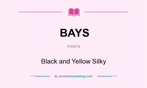 What does BAYS mean? It stands for Black and Yellow Silky