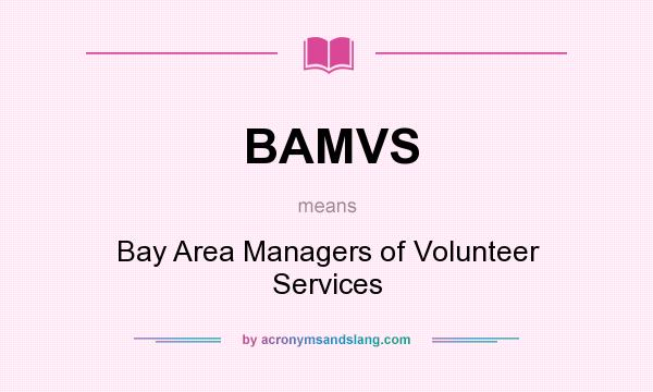 What does BAMVS mean? It stands for Bay Area Managers of Volunteer Services