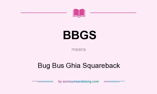 What does BBGS mean? It stands for Bug Bus Ghia Squareback