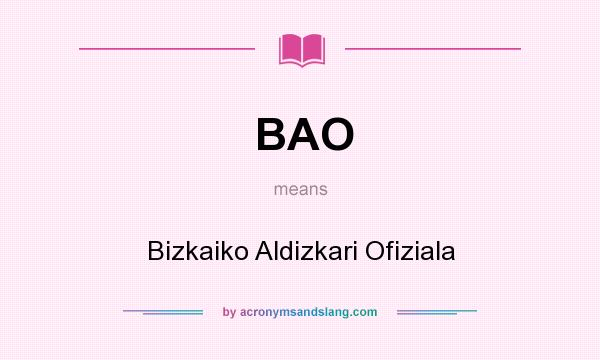 What does BAO mean? It stands for Bizkaiko Aldizkari Ofiziala