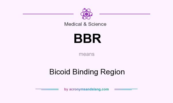 What does BBR mean? It stands for Bicoid Binding Region