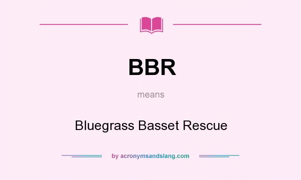 What does BBR mean? It stands for Bluegrass Basset Rescue