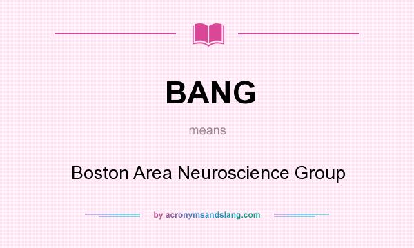 What does BANG mean? It stands for Boston Area Neuroscience Group