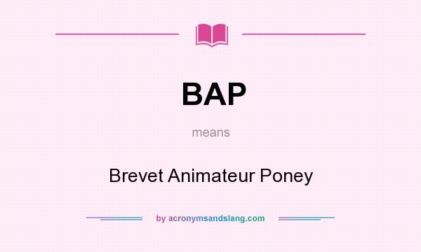 What does BAP mean? It stands for Brevet Animateur Poney