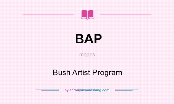 What does BAP mean? It stands for Bush Artist Program