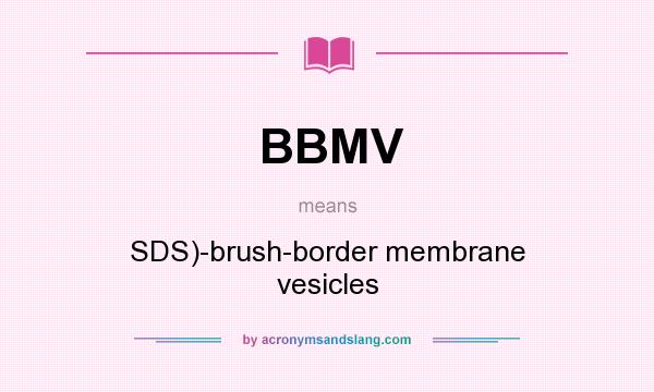 What does BBMV mean? It stands for SDS)-brush-border membrane vesicles