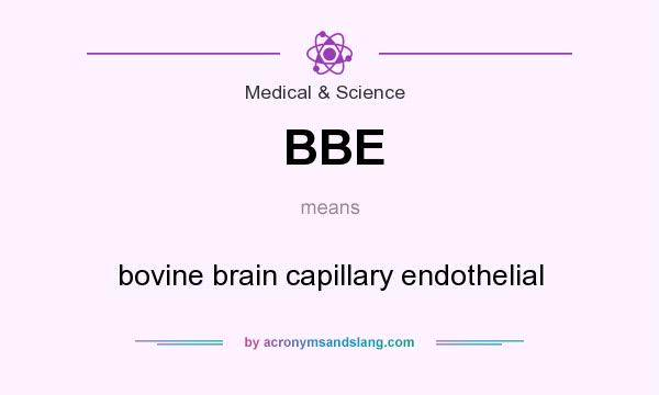 What does BBE mean? It stands for bovine brain capillary endothelial