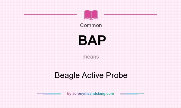 What does BAP mean? It stands for Beagle Active Probe