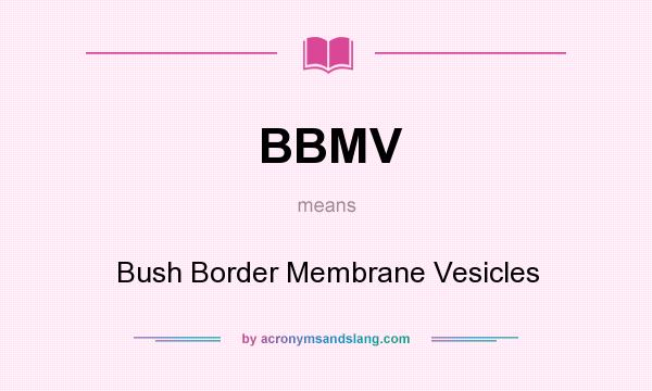 What does BBMV mean? It stands for Bush Border Membrane Vesicles