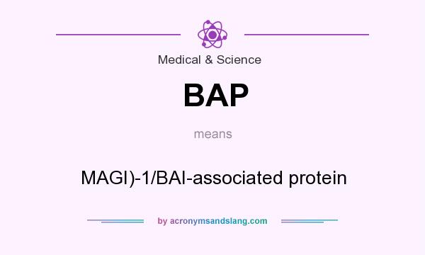 What does BAP mean? It stands for MAGI)-1/BAI-associated protein
