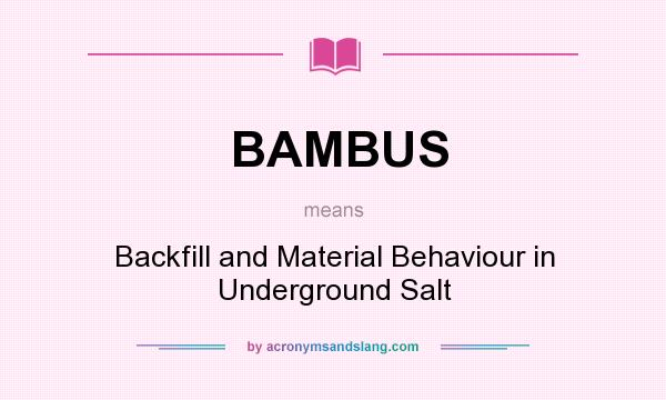 What does BAMBUS mean? It stands for Backfill and Material Behaviour in Underground Salt
