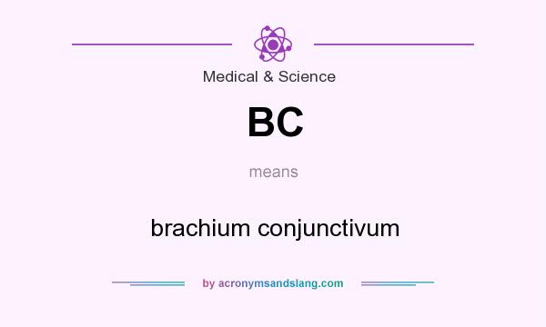 What does BC mean? It stands for brachium conjunctivum