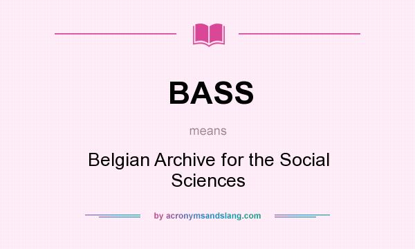 What does BASS mean? It stands for Belgian Archive for the Social Sciences