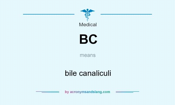 What does BC mean? It stands for bile canaliculi