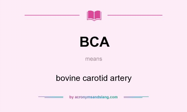 What does BCA mean? It stands for bovine carotid artery