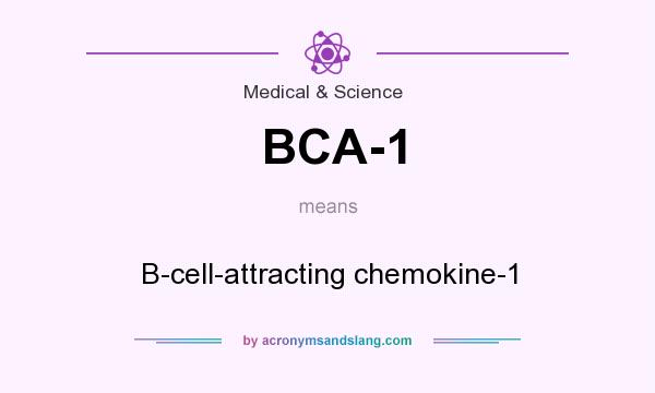 What does BCA-1 mean? It stands for B-cell-attracting chemokine-1