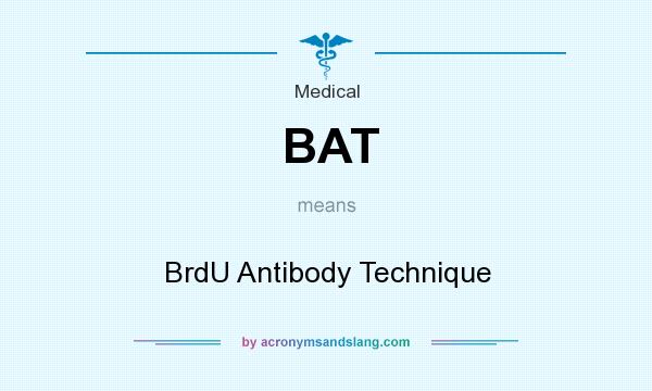 What does BAT mean? It stands for BrdU Antibody Technique