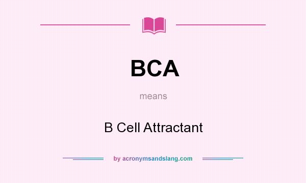 What does BCA mean? It stands for B Cell Attractant