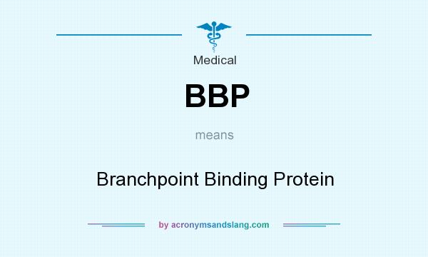 What does BBP mean? It stands for Branchpoint Binding Protein