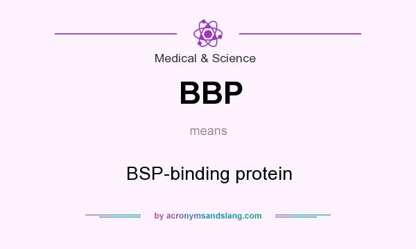 What does BBP mean? It stands for BSP-binding protein