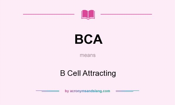 What does BCA mean? It stands for B Cell Attracting