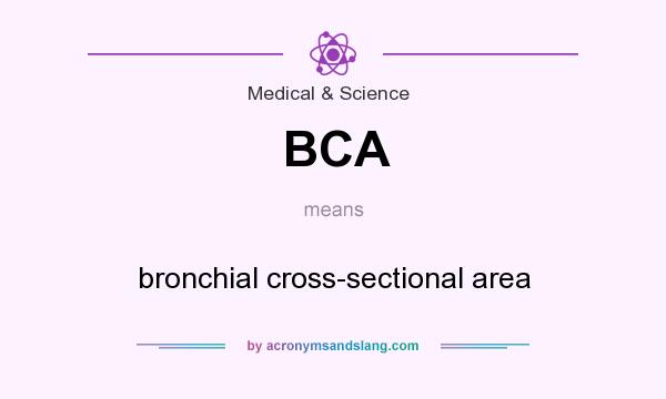What does BCA mean? It stands for bronchial cross-sectional area