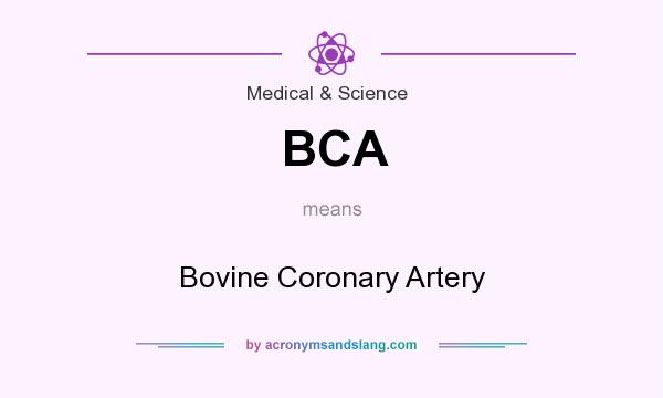 What does BCA mean? It stands for Bovine Coronary Artery