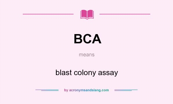 What does BCA mean? It stands for blast colony assay