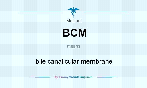 What does BCM mean? It stands for bile canalicular membrane