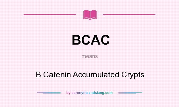 What does BCAC mean? It stands for B Catenin Accumulated Crypts