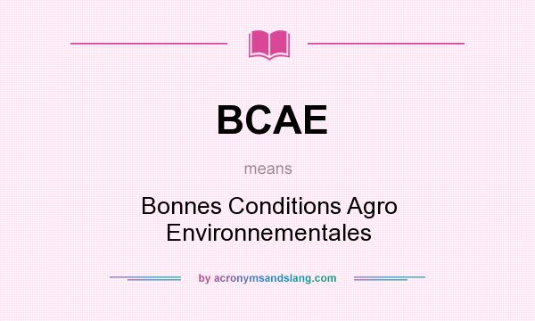 What does BCAE mean? It stands for Bonnes Conditions Agro Environnementales