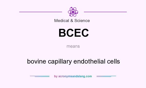 What does BCEC mean? It stands for bovine capillary endothelial cells