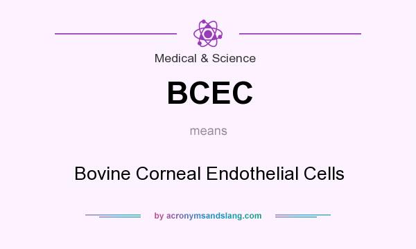 What does BCEC mean? It stands for Bovine Corneal Endothelial Cells