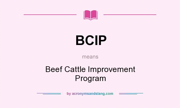 What does BCIP mean? It stands for Beef Cattle Improvement Program