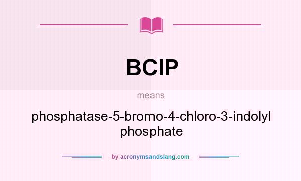 What does BCIP mean? It stands for phosphatase-5-bromo-4-chloro-3-indolyl phosphate