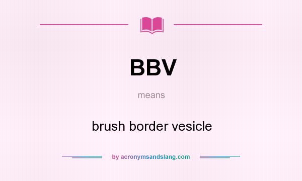 What does BBV mean? It stands for brush border vesicle