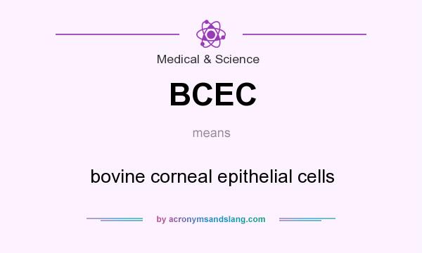 What does BCEC mean? It stands for bovine corneal epithelial cells