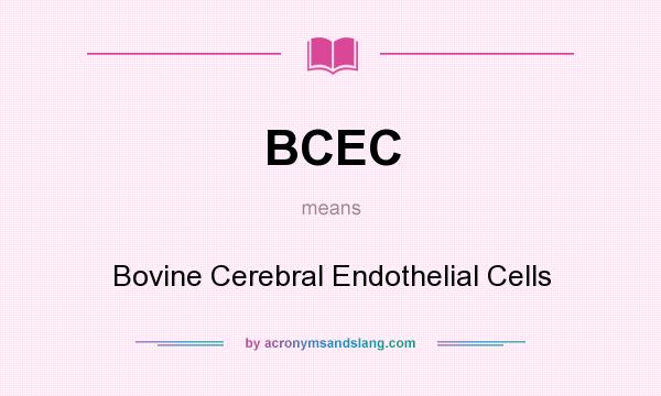 What does BCEC mean? It stands for Bovine Cerebral Endothelial Cells