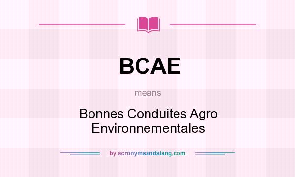 What does BCAE mean? It stands for Bonnes Conduites Agro Environnementales