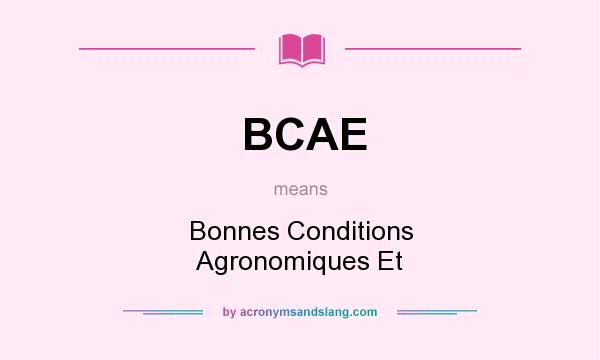 What does BCAE mean? It stands for Bonnes Conditions Agronomiques Et