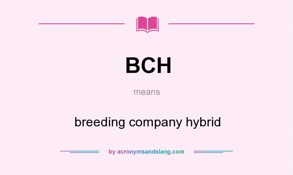 What does BCH mean? It stands for breeding company hybrid