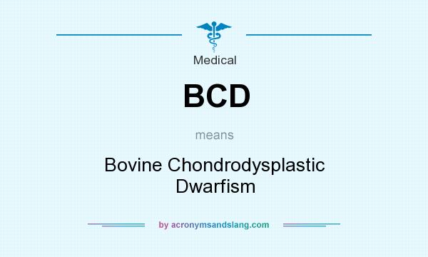 What does BCD mean? It stands for Bovine Chondrodysplastic Dwarfism
