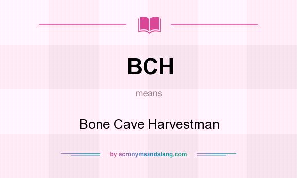 What does BCH mean? It stands for Bone Cave Harvestman
