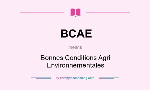 What does BCAE mean? It stands for Bonnes Conditions Agri Environnementales