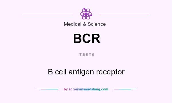 What does BCR mean? It stands for B cell antigen receptor