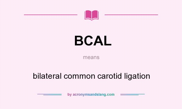 What does BCAL mean? It stands for bilateral common carotid ligation