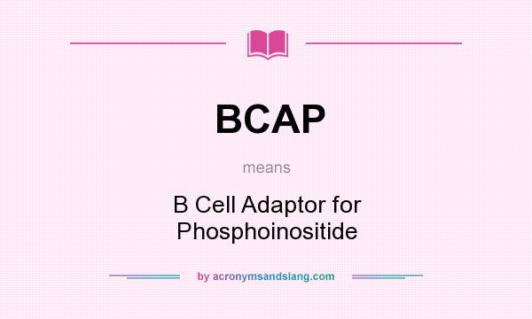What does BCAP mean? It stands for B Cell Adaptor for Phosphoinositide