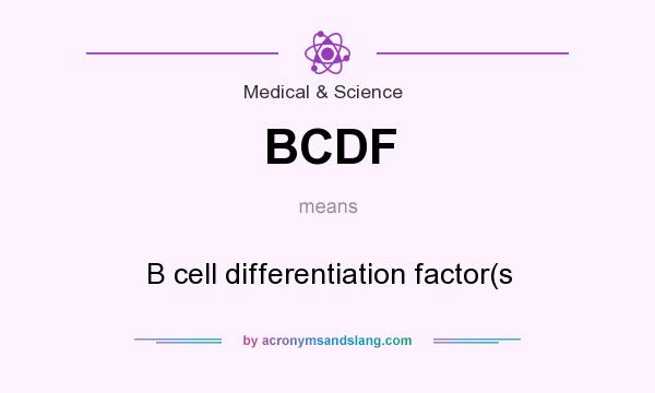 What does BCDF mean? It stands for B cell differentiation factor(s