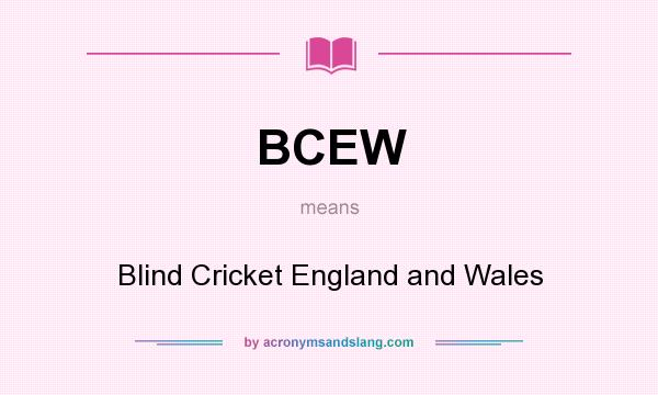 What does BCEW mean? It stands for Blind Cricket England and Wales