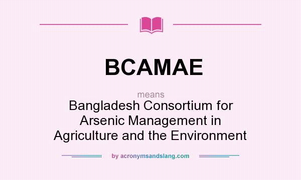 What does BCAMAE mean? It stands for Bangladesh Consortium for Arsenic Management in Agriculture and the Environment